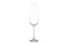 SANDRA Sklenice na šampaňské (6ks) průhledný - obrázek 3