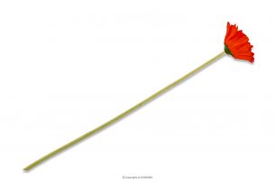 gerbes, https://konsimo.cz/kolekce/gerbes/ Kwiat Gerbera czerwony - obrázek