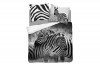FEROS Černobílá bavlněná souprava povlečení se zebrou, 220x200 cm Černá bílá - obrázek 1