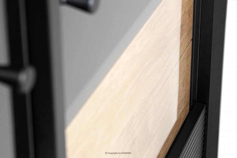 LOFTY Loftová dvoudveřová vitrína černý/přírodní dub - obrázek 13